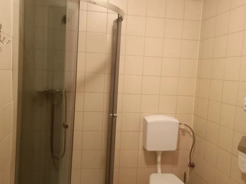 Łazienka w domku nr 1 z kabiną prysznicową i toaletą