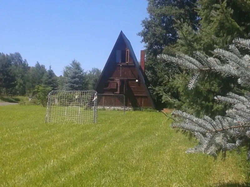 Trawnik ze świerkami, w tle domek typu Brda